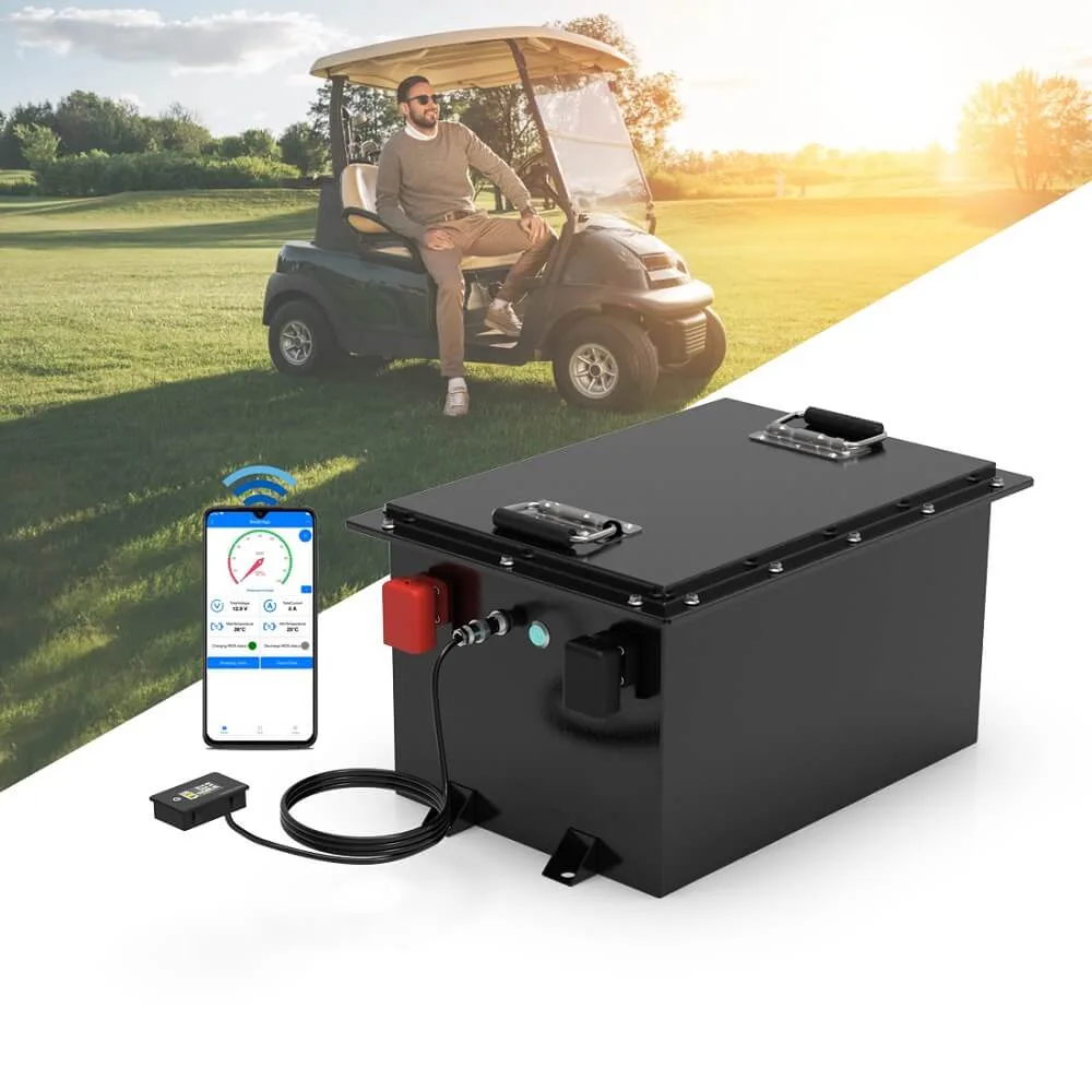 LiFePO4 battery for golf carts (4)