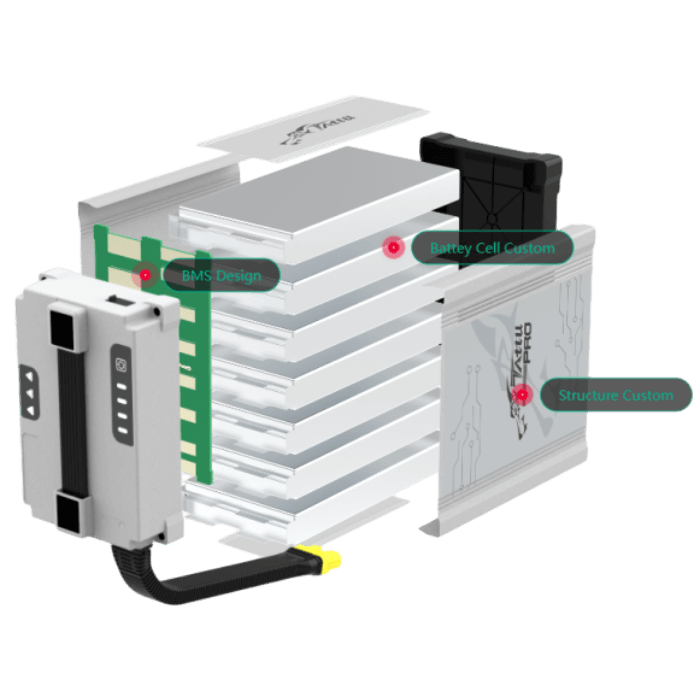 Customized Battery
