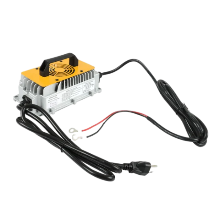 Customs lithium battery charger (5)