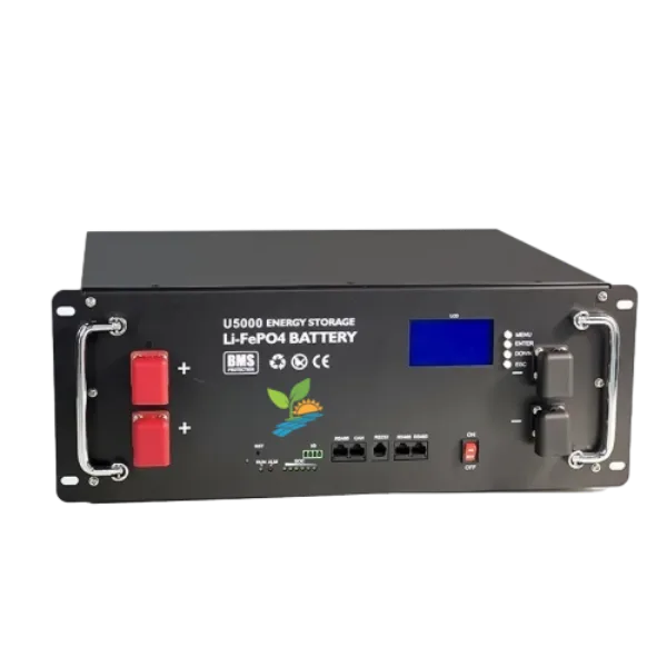 48V 50Ah rack mount server lithium LiFePO4 battery (4)