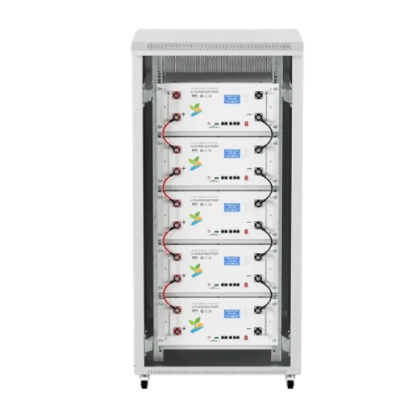 Rack Mounted Server Cabinet LiFePO4 Lithium Energy Storage Battery (1)