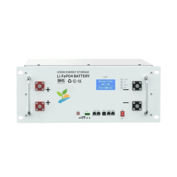 Rack Mounted Server Cabinet LiFePO4 Lithium Energy Storage Battery (2)