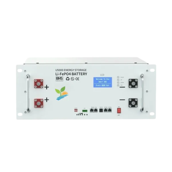 Rack Mounted Server Cabinet LiFePO4 Lithium Energy Storage Battery (2)